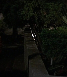 NCW-S315.jpg