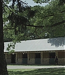 ncw401-017.jpg